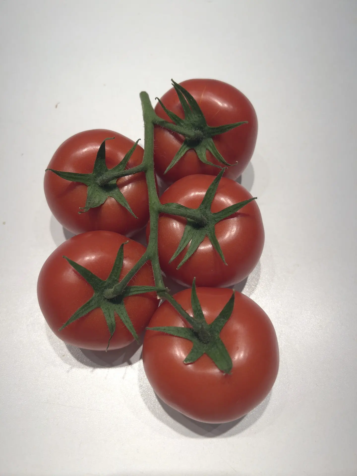 E15M.43399 F1 (Rutino)